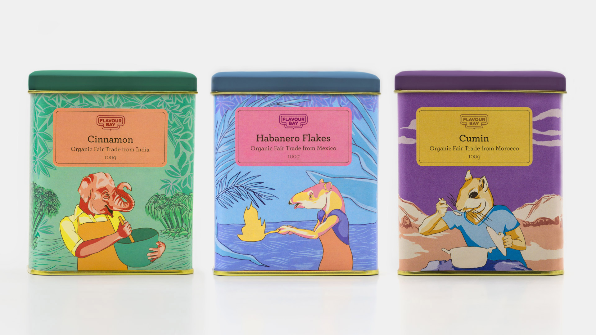 Fiona Dunnett | Illustration, Design, Packaging | Flavour Bay Spices