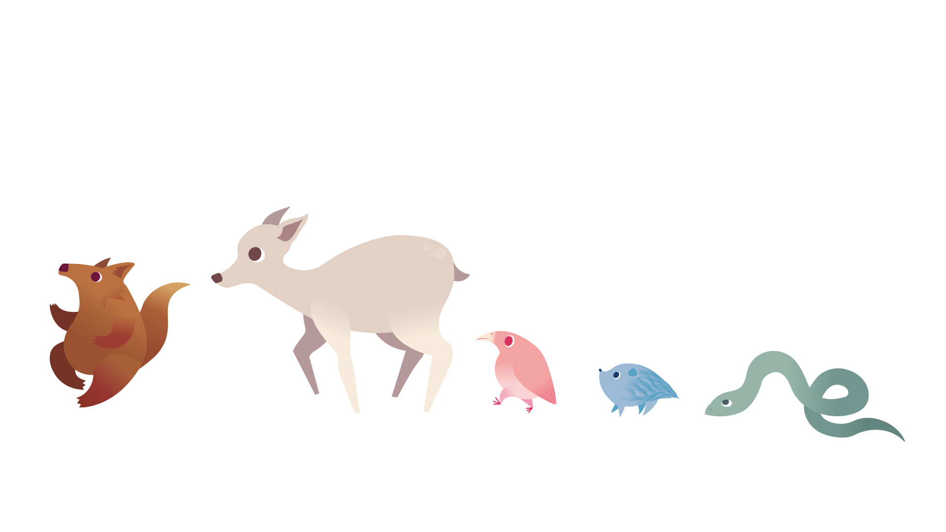 Jenny Oakley | Illustration | Little Wolf 