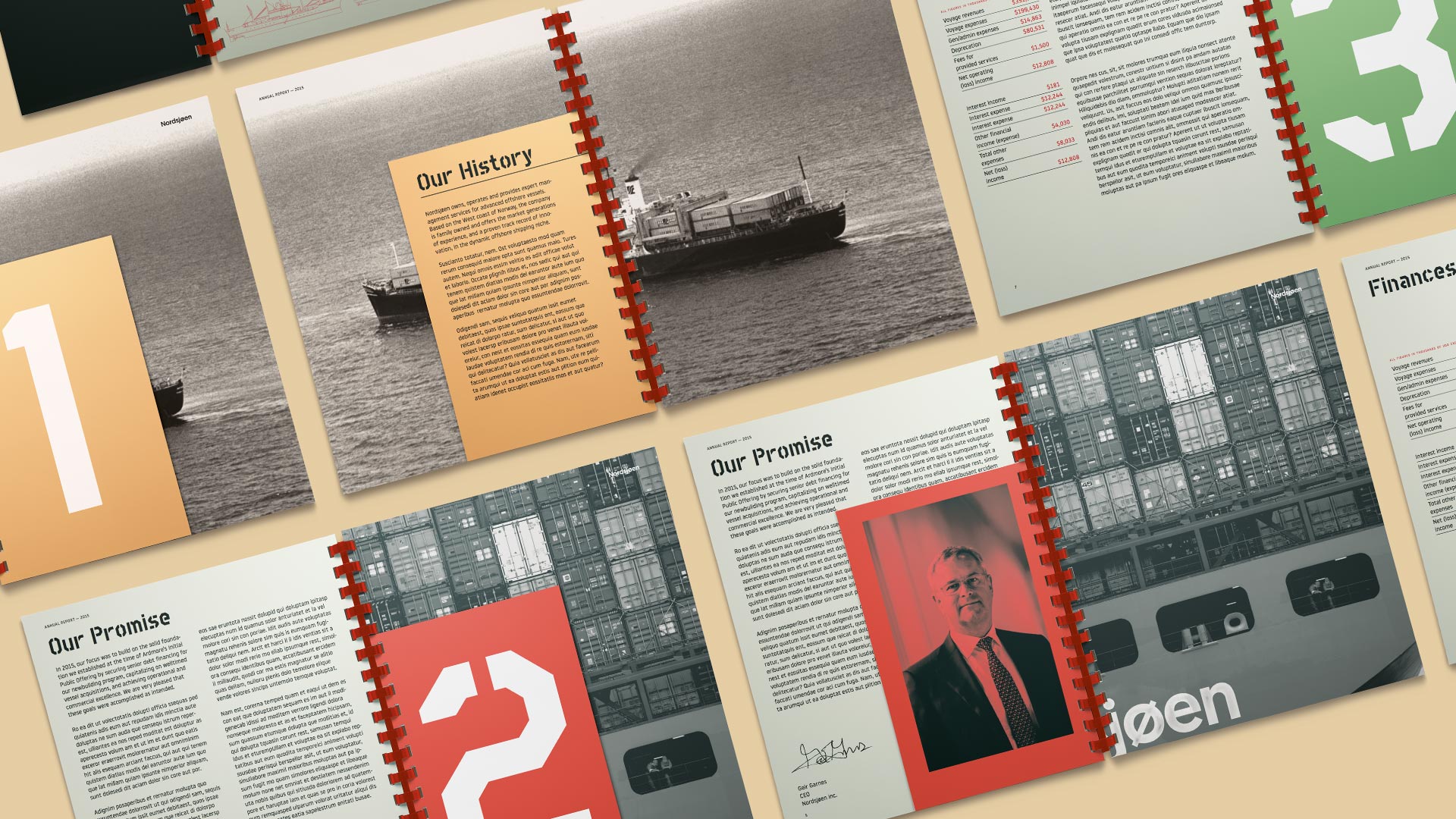 Jesse Ellingson | Print | Nordsjøen Annual Report